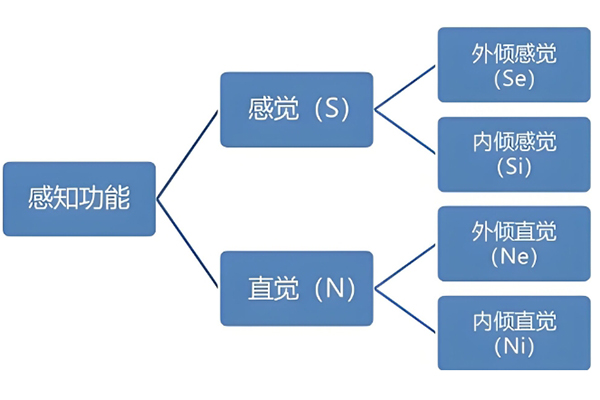 微信截图_20241028173145.jpg