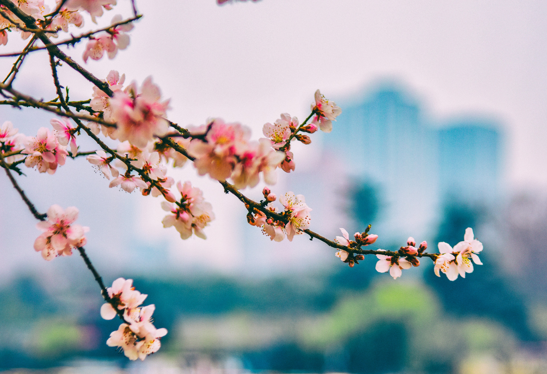 桃花运在线测试