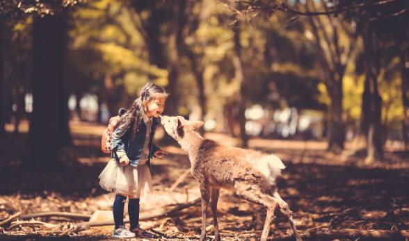 动物塑人格测试 动物塑人格测试