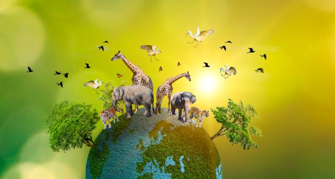 动物塑原型测试(升级版) 动物塑原型测试(升级版)