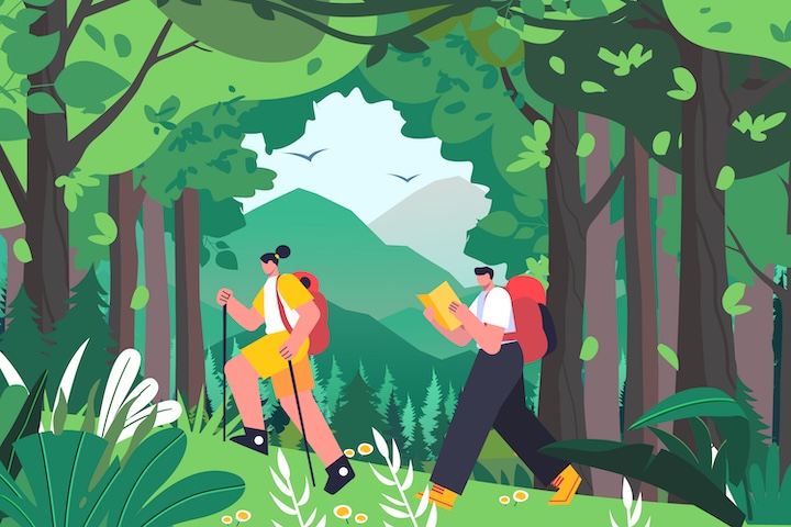 森林奇遇记心理测试